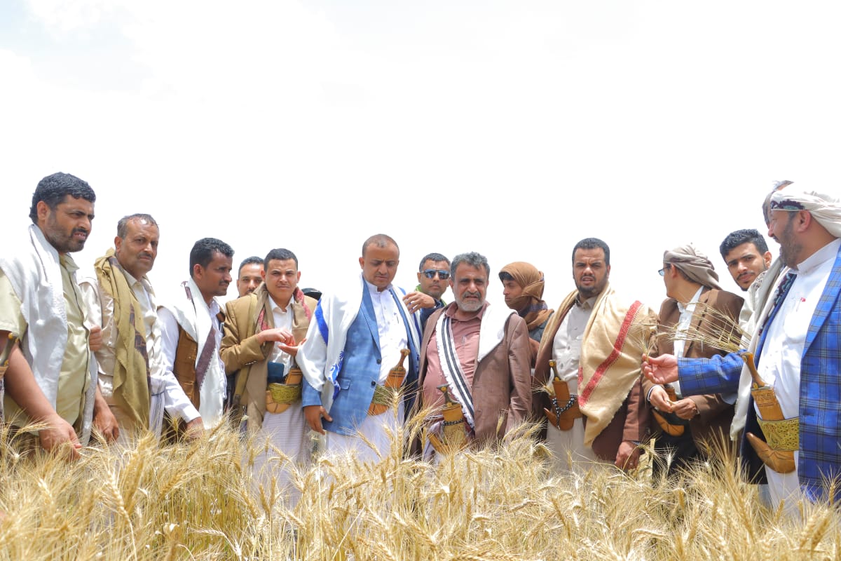 محافظ البيضاء ونائب وزير الزراعة يطلعان على تجربة زراعة القمح في الزاهر واحتياجات جمعية مكيراس التعاونية الزراعية بالمحافظة