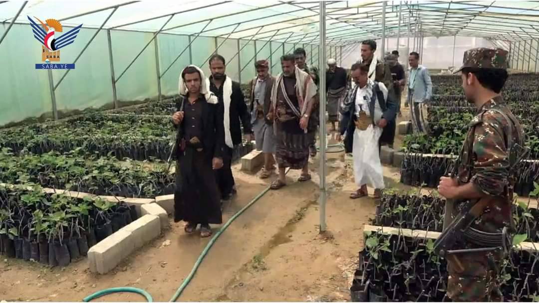 محافظ البيضاء يطلع على نشاط المشتل الزراعي المركزي